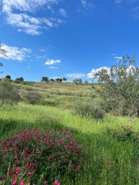 Casa Country Villa Agrigento Luaran gambar